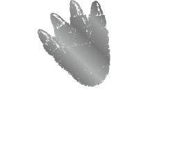 GODZILLA FLOOR