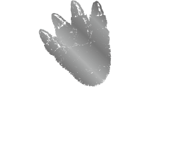 GODZILLA VIEW ROOM