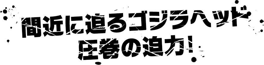 間近に迫るゴジラヘッド圧巻の迫力！