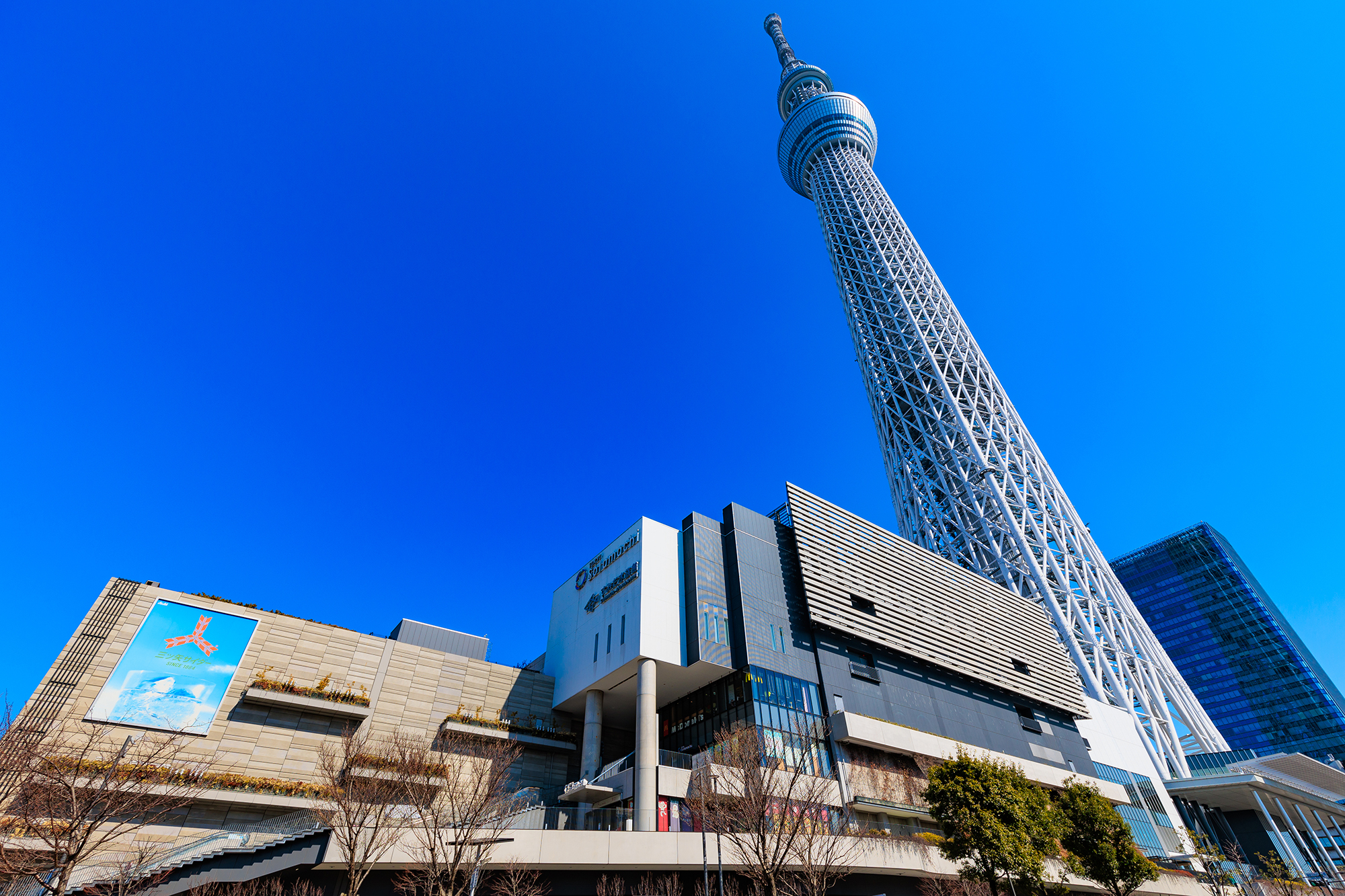 東京スカイツリー®︎ サムネイル