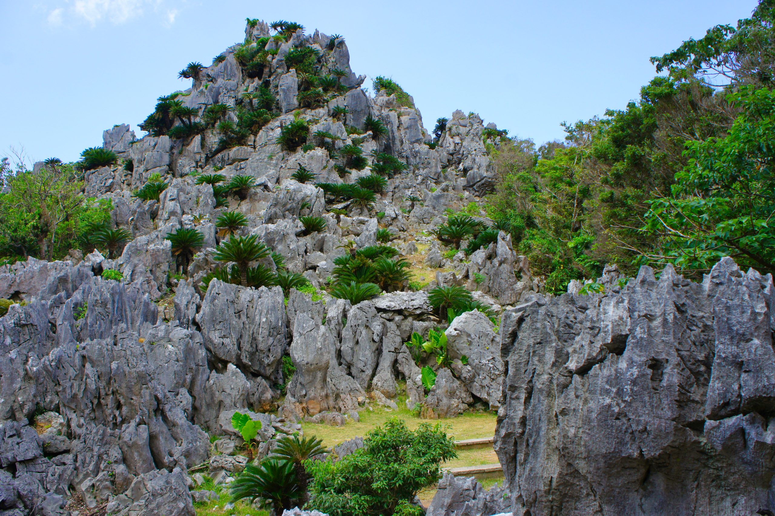 大石林山(だいせきりんざん) サムネイル