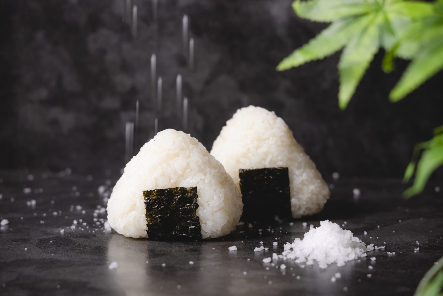 小笠原自然海塩使用　塩むすび